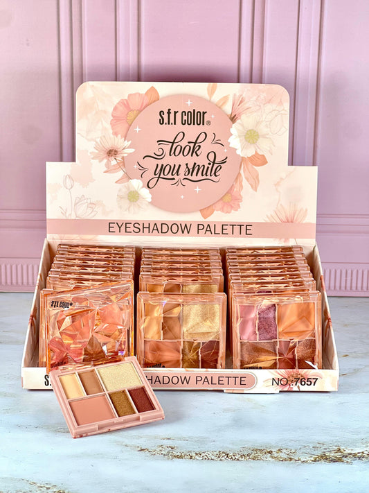 PALETA SOMBRAS X 6