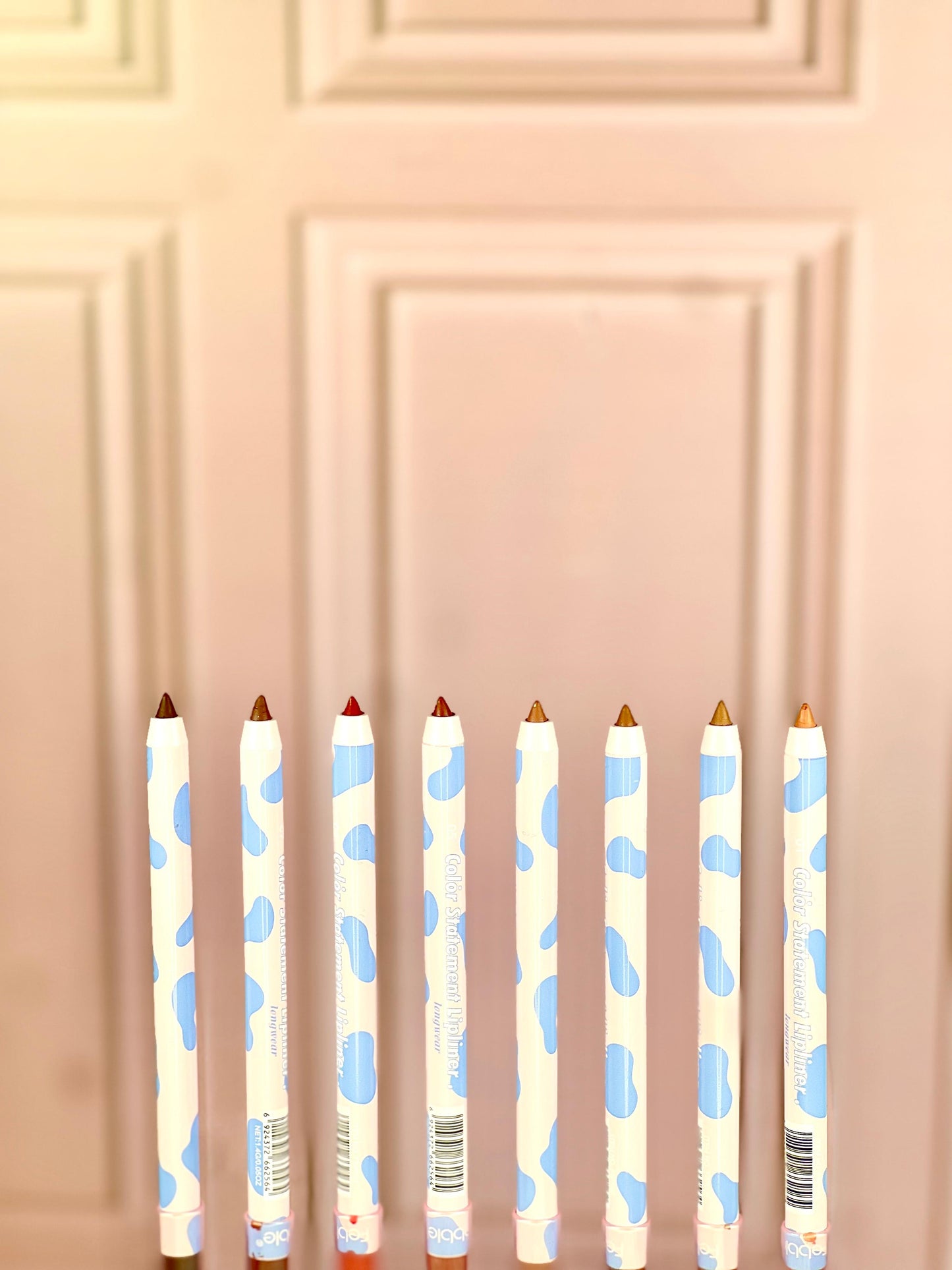 LPIZ DELINEADOR LABIOS FBP002