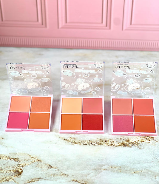 PALETA RUBOR X 4 D4202